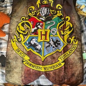 Harry Potter flags